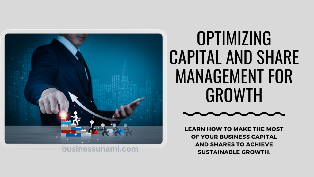 Optimizing Business Capital Management and Share Management for Sustainable Growth